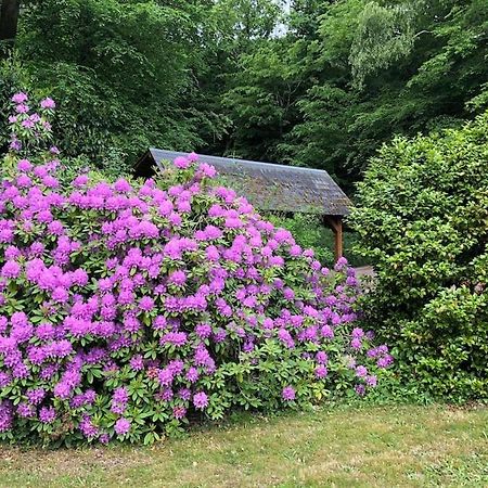 "La Homerie" Chaumiere En Pleine Nature Savigny-en-Sancerre Екстер'єр фото