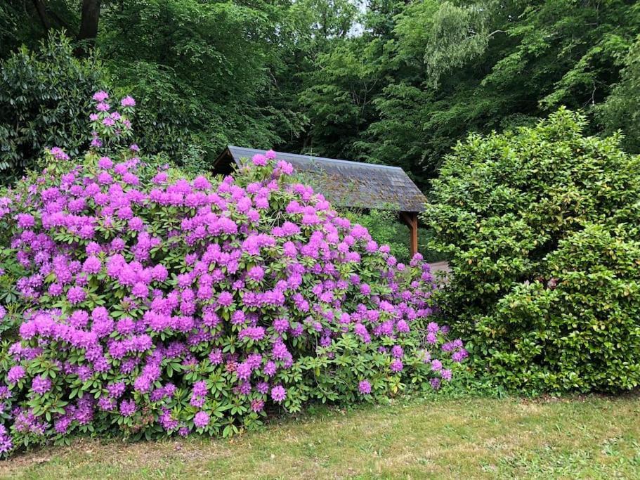 "La Homerie" Chaumiere En Pleine Nature Savigny-en-Sancerre Екстер'єр фото