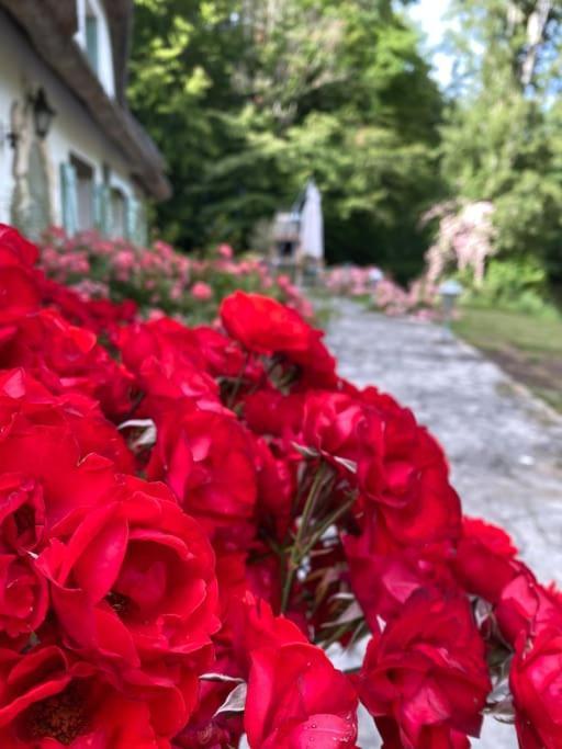 "La Homerie" Chaumiere En Pleine Nature Savigny-en-Sancerre Екстер'єр фото